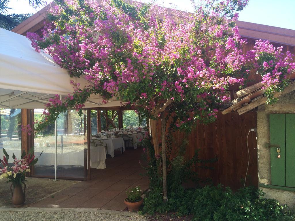 Willa Agriturismo Ristorante Albachiara Carpeneto Zewnętrze zdjęcie